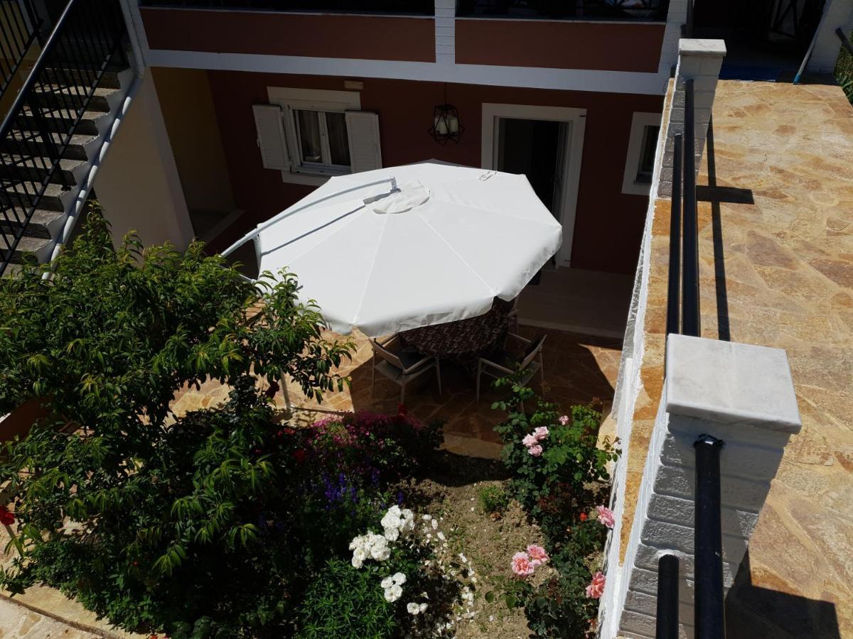 Angelika House 1